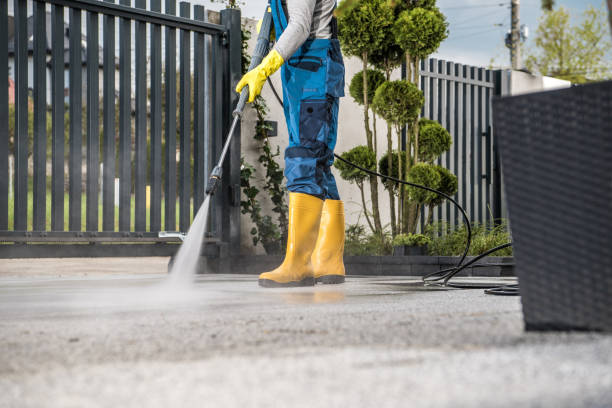 Best Roof Washing  in Mount Carroll, IL
