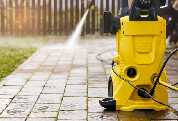 Best Soft Washing  in Mount Carroll, IL
