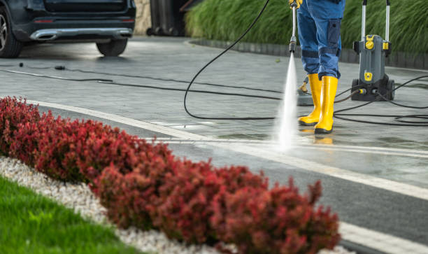 Best Patio and Deck Pressure Washing  in Mount Carroll, IL