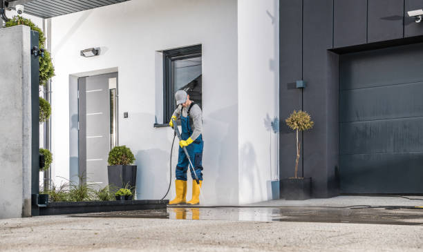 Best Sidewalk and Walkway Cleaning  in Mount Carroll, IL